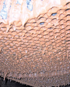 Abbildung verschmutzter Verdunstungskühlanlage